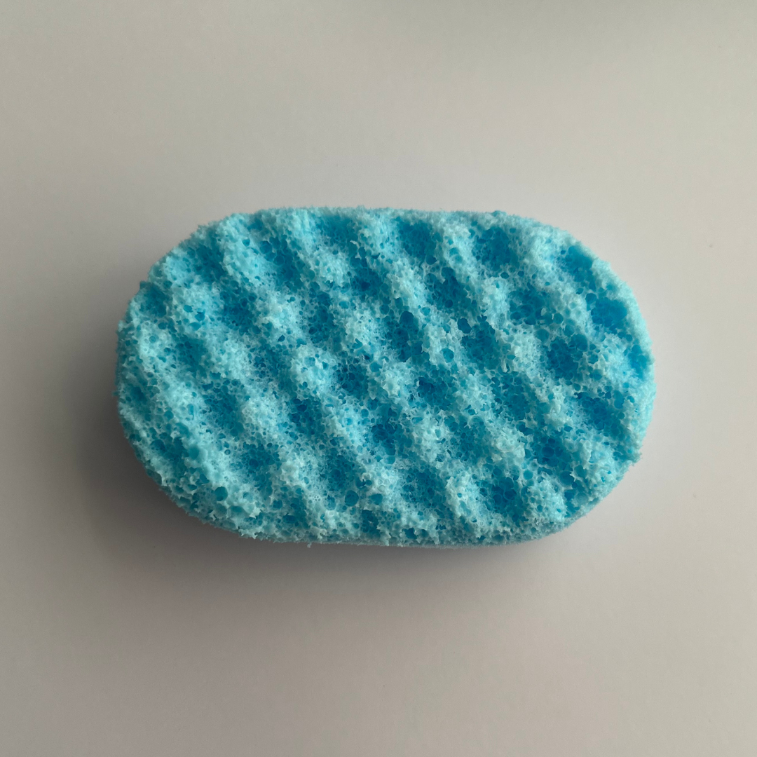 Apostle Soap Sponge