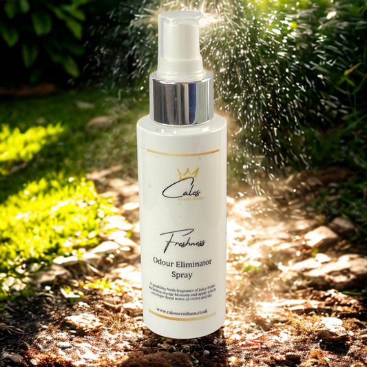 Freshness Odour Eliminating Spray