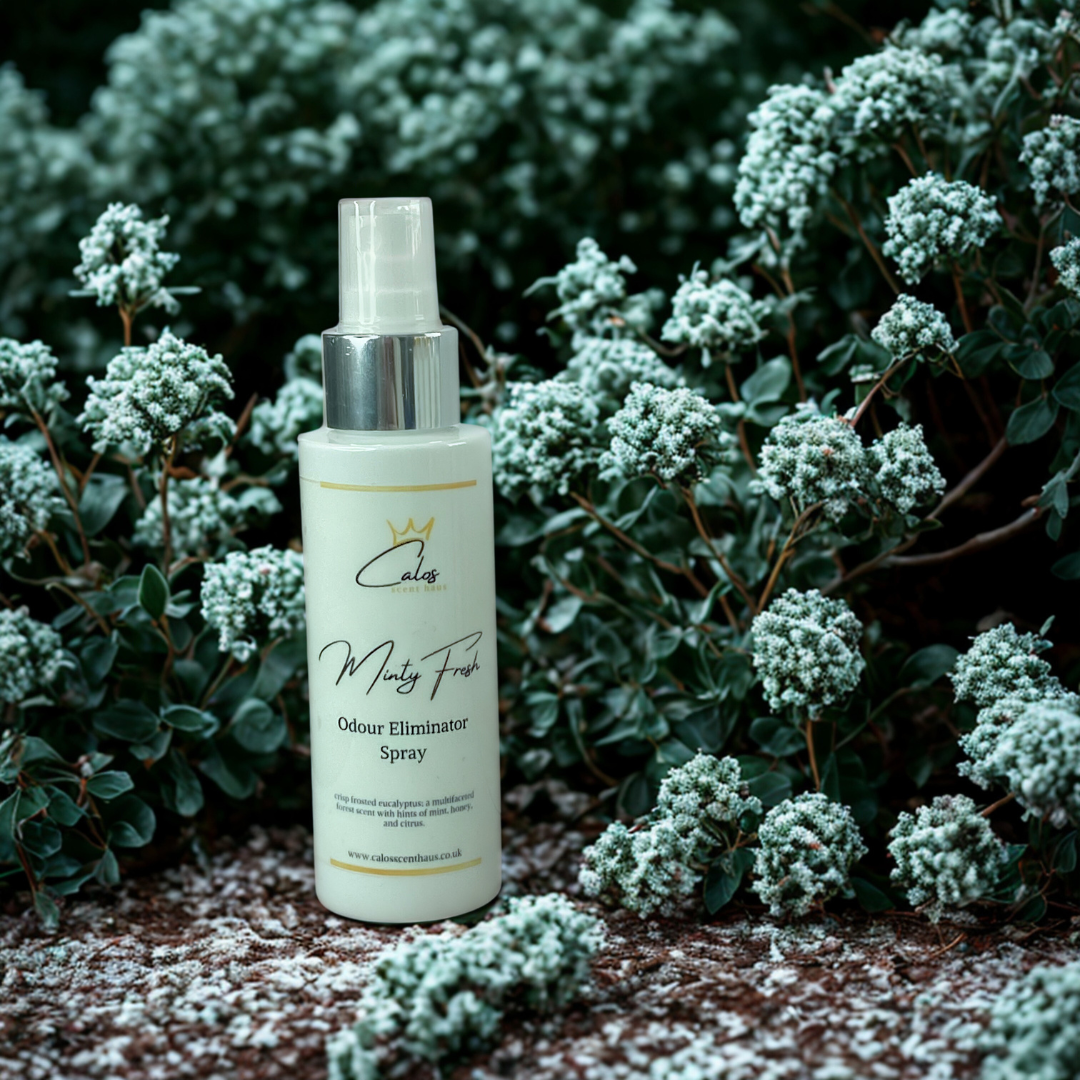 Minty Fresh Odour Eliminating Spray