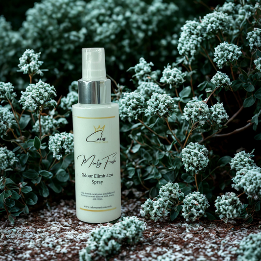 Minty Fresh Odour Eliminating Spray